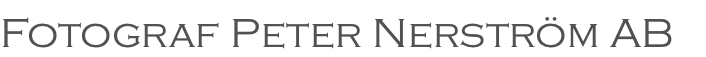 Site Title